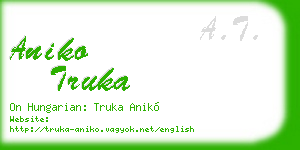 aniko truka business card